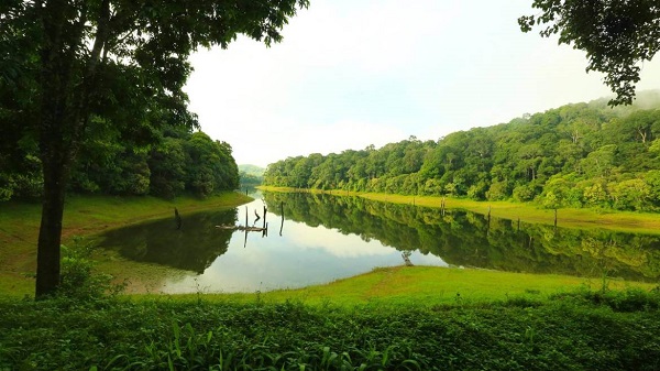 Kerala Thekkady