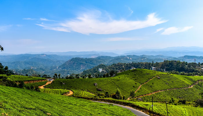 Kerala Munnar