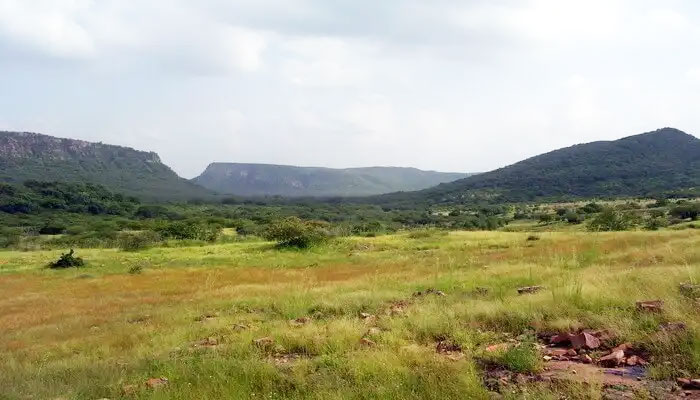 Rajasthan Ranthambore National Park